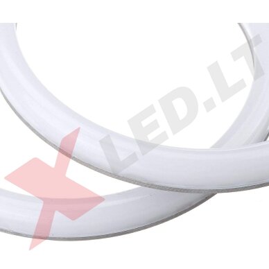 COTTON LED BMW 5 E60 iki LCI / 1 E81 E82 E87 E88 Angel Eyes balti šviesos žiedai 2