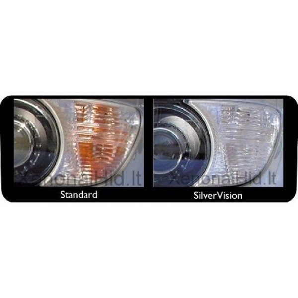 PHILIPS PY24W SilverVision posūkių lemputės 12V 24W 12274SV+C1, PY24W, 69678330 2 PHILIPS PY24W SilverVision posūkių lemputės 12V 24W 12274SV+C1, PY24W, 69678330 2