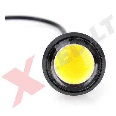 LED universalus geltonas žibintas - šviečiančios LED akutės (Kopija) 1
