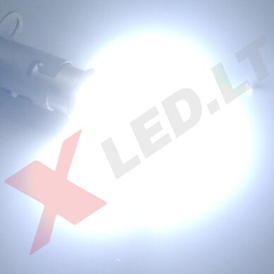 XLED P21W - BA15S SUPER LASER +800% X-TREME CAN-BUS LED lemputė į atbulinį ir DRL žibintą balta 6000K 14